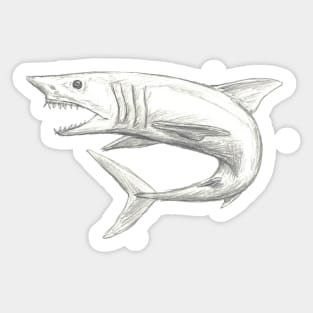 Mako Shark sketch Sticker